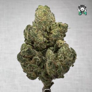 Crunch Berries - M15