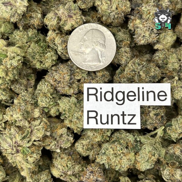 Ridgeline Runtz - N20 - Image 3