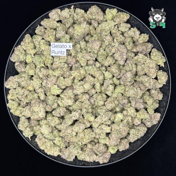Gelato X Runtz - N20 - Image 2