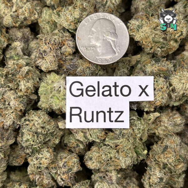 Gelato X Runtz - N20 - Image 3