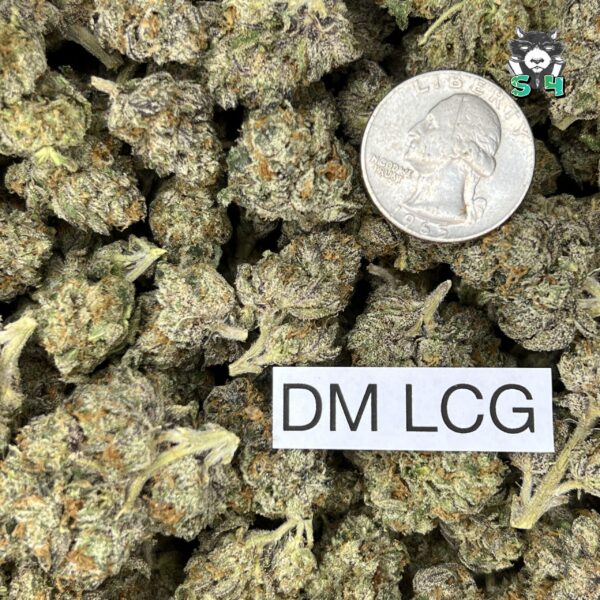 DM LCG - N20 - Image 3