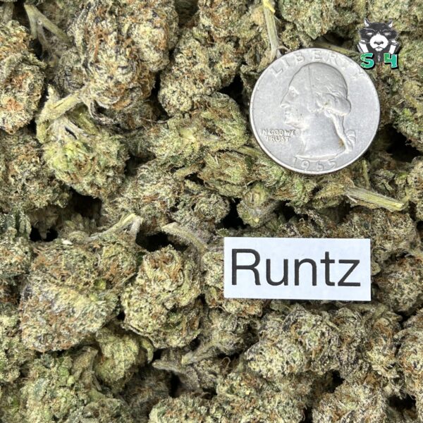 Runtz - N20 - Image 3