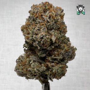 Lemon Blizzard - I8
