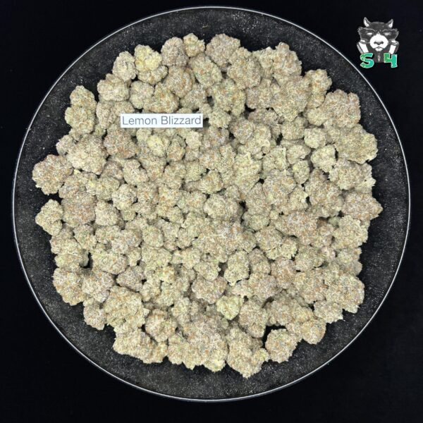 Lemon Blizzard - I8 - Image 2