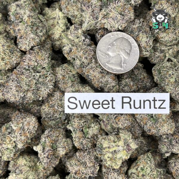 Sweet Runtz - K8 - Image 3