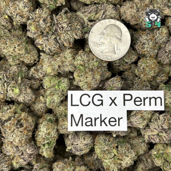 LCG X Permanent Marker - C33 - Image 3