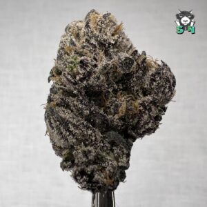 Candy Runtz - C33