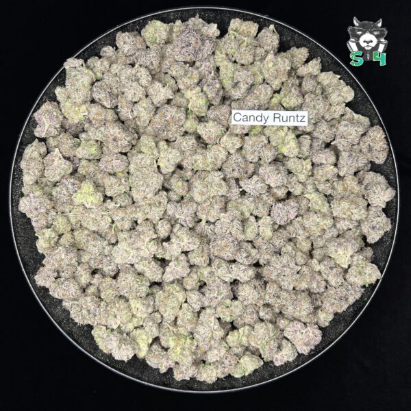 Candy Runtz - C33 - Image 2
