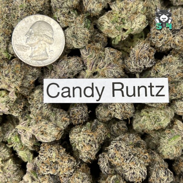 Candy Runtz - C33 - Image 3