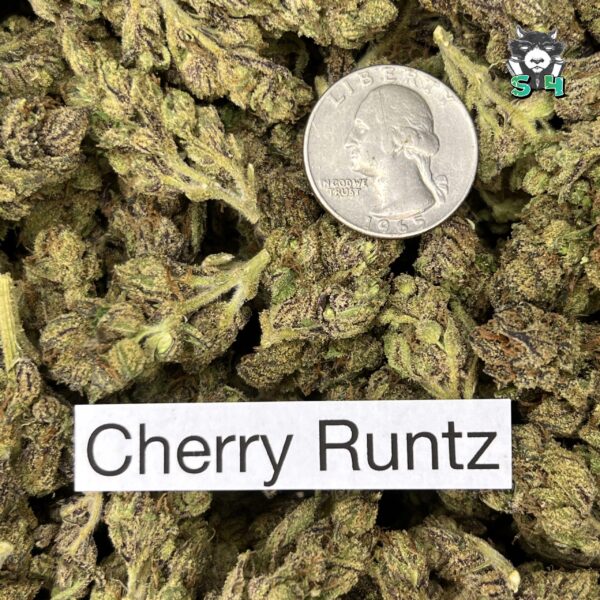 Cherry Runtz - T5 - Image 3