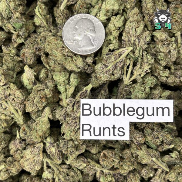 Bubblegum Runtz - T5 - Image 3