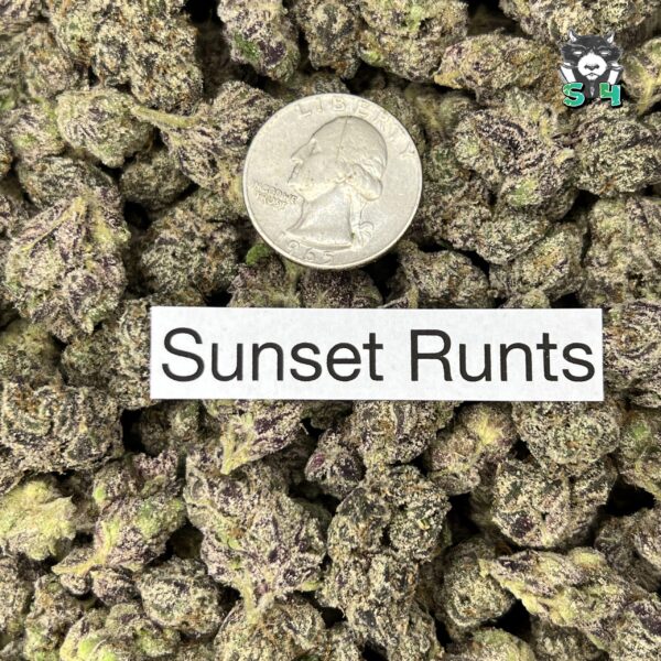 Sunset Runtz - F2 - Image 3