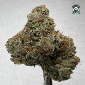 Super Pink Candies - B17