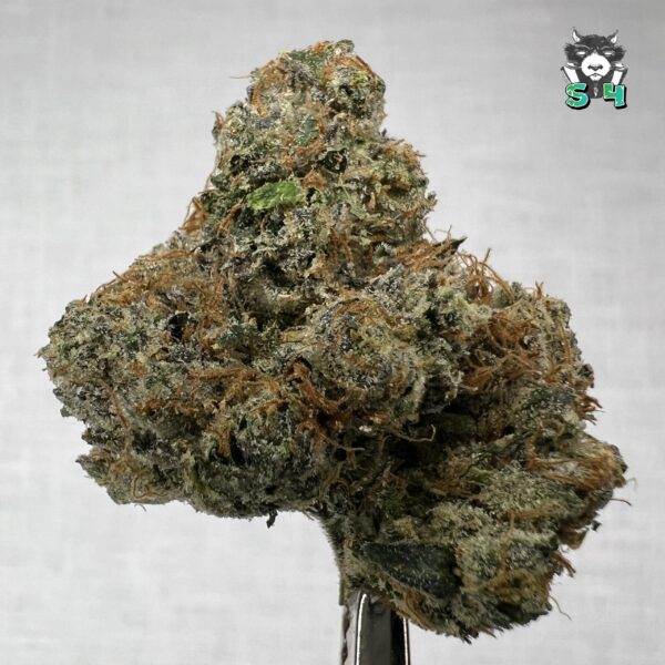 Super Pink Candies - B17