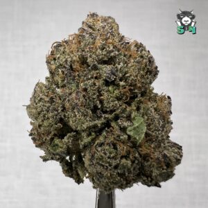 Bubblegum Runtz - P7