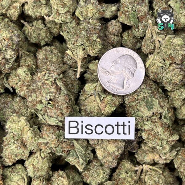 Biscotti - U2 - Image 3