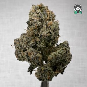 Sour Runtz - R7