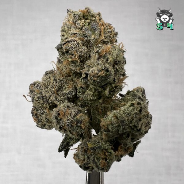 Sour Runtz - R7