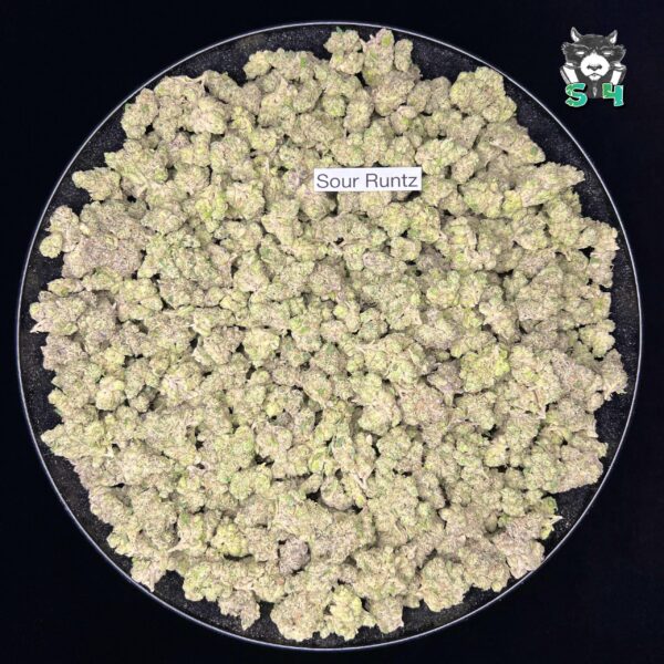 Sour Runtz - R7 - Image 2