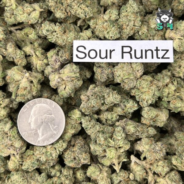 Sour Runtz - R7 - Image 3