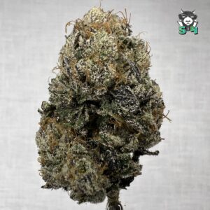 Runtz - G6
