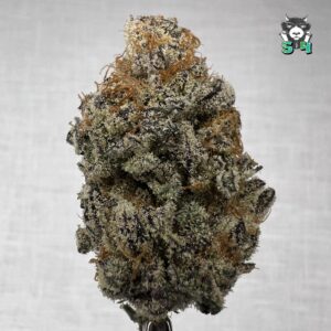 Glitter Bomb - G6