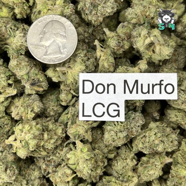 Don Murph0 LCG - J6 - Image 3