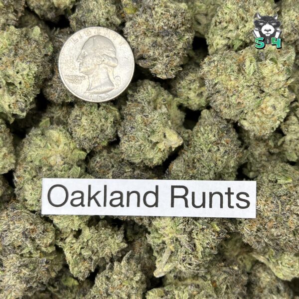 Oakland Runtz - J6 - Image 3