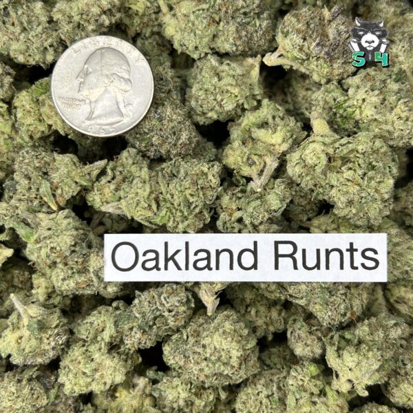 Oakland Runtz - J6 - Image 3