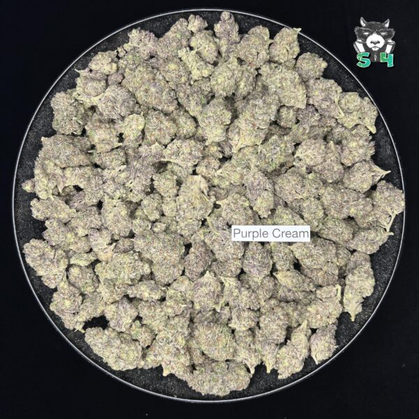Purple Cream - B1 - Image 2