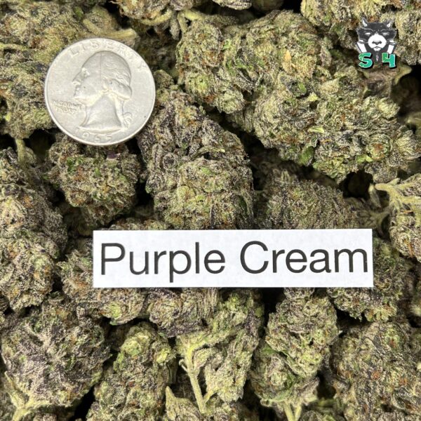 Purple Cream - B1 - Image 3