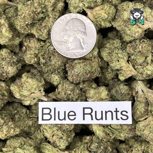 Blue Runtz - T12 - Image 3