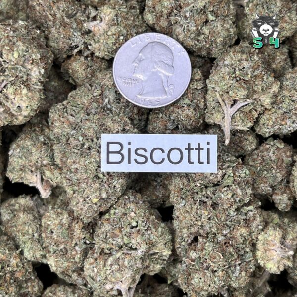 Biscoti - T12 - Image 3