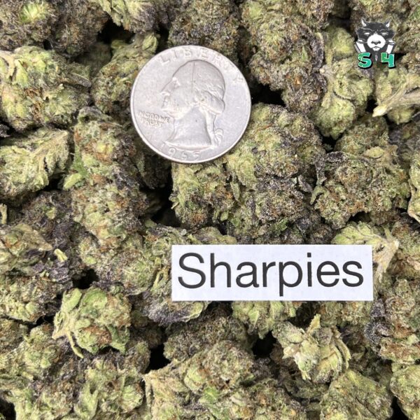 Sharpies - T12 - Image 3