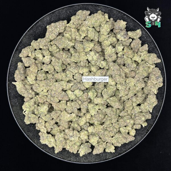 Hashburger - T12 - Image 2