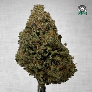 Cherry Runtz - T12
