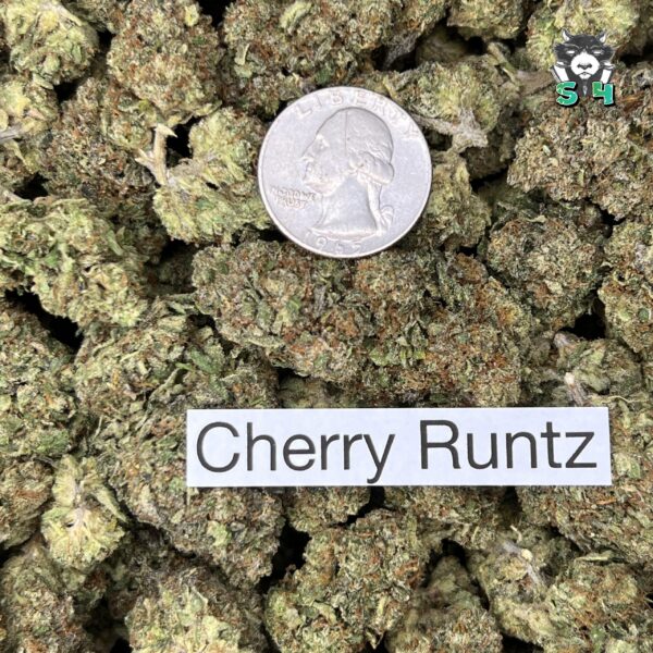 Cherry Runtz - T12 - Image 3