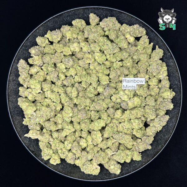 Rainbow Mints - T12 - Image 2