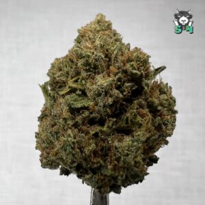 Sweet Tarts - T12