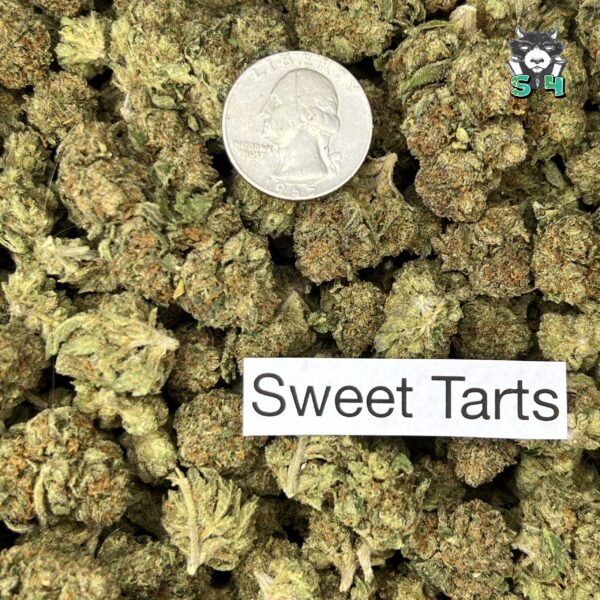 Sweet Tarts - T12 - Image 3