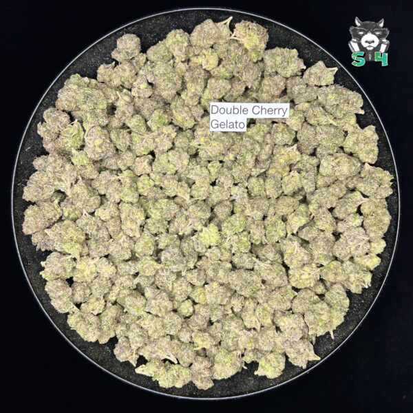Double Cherry Gelato - S10 - Image 2