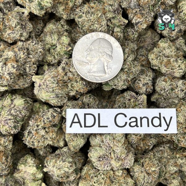 ADL Candy - B17 - Image 3
