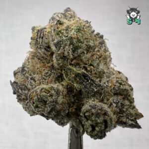 Melonade - B17