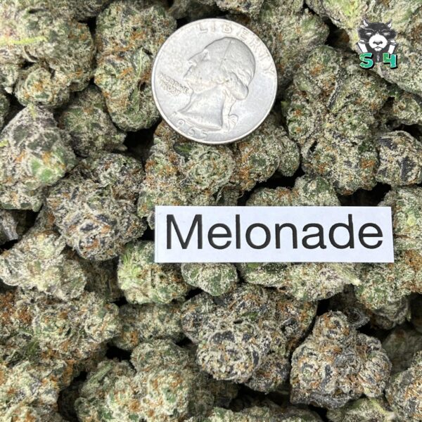Melonade - B17 - Image 3