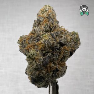 Cherry Maker - B17
