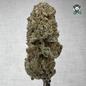 Oklahoma Coma - K54