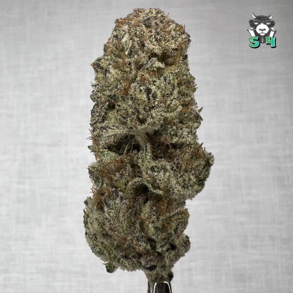 Oklahoma Coma - K54