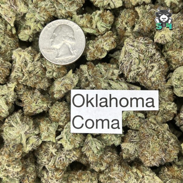 Oklahoma Coma - K54 - Image 3