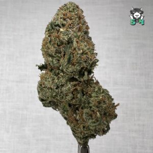 Cherry Lemon Cherry Gelato - K54