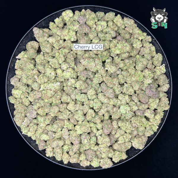 Cherry Lemon Cherry Gelato - K54 - Image 2